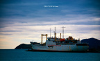 fan_20101001_408