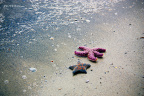fan_20101001_440