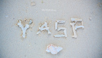 fan_20111001_441