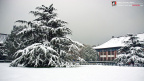 fan_20091112_064