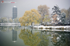 fan_20091112_028