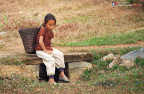 fan_20090204_0493