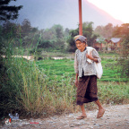fan_20090204_0451