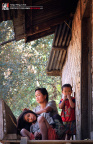 fan_20090204_0629