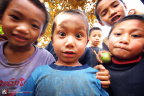 fan_20090204_0768