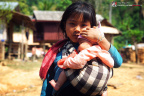 fan_20090204_0709