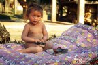 fan_20090204_1220