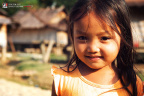 fan_20090204_1286