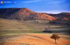 fan_20091002_206