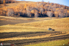 fan_20091002_043