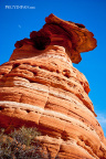fan_20120120_0781