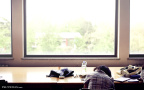 fan_20100507_079a