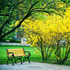 fan_20100426_055