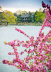 fan_20100426_009