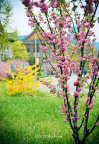 fan_20100426_036