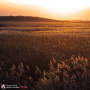 fan_20081001_957