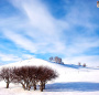 fan_20090113_426