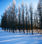 fan_20090113_032