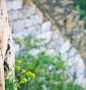 fan_20090816_040