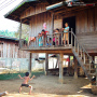 fan_20090204_1175