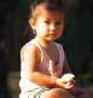 fan_20090204_1292