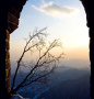 fan_20091113_155