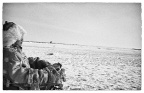 Image26-编辑-2