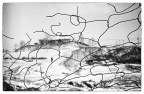 Image57-编辑-2