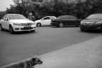 P5281324