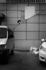 P5261263@
