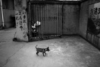 P5261284@