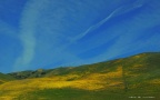 NAN_0019