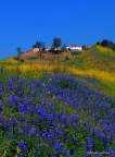NAN_0012 (2)
