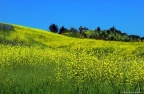 NAN_0032 (2)
