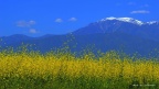 NAN_0036 (2)