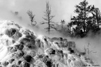 NAN_0226b