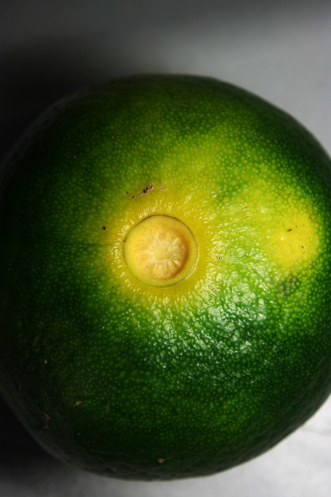 青橘子