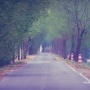 道路