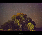 星河灿烂