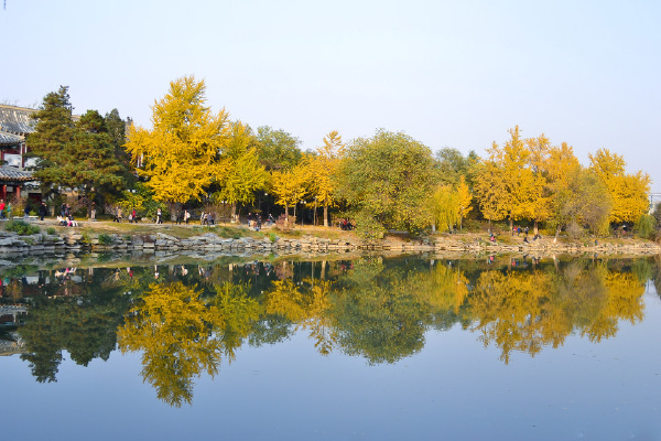 _DSC0670