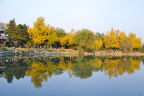 _DSC0670