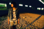 youth