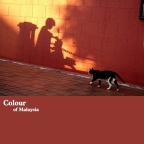 colour of Malaysia