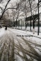 2010年第二场雪（二体）