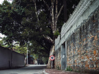 AQ010081