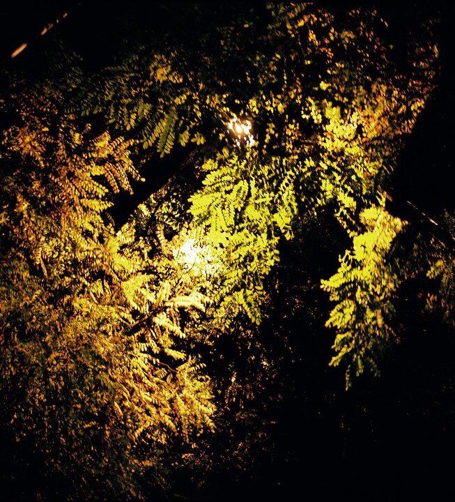 路边夜景