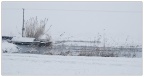 雪
