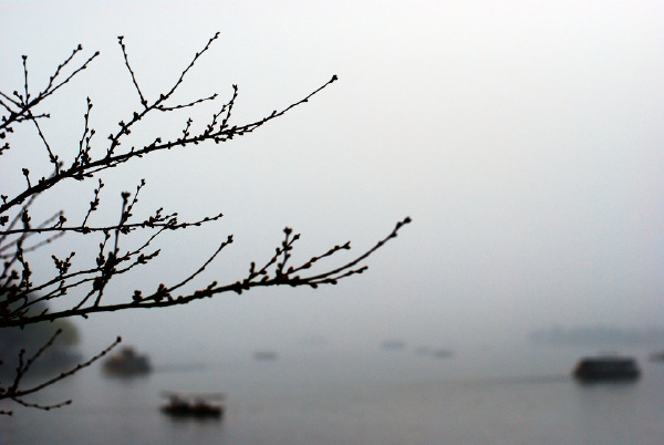 烟雨朦胧