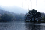 西湖细雨