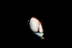 杀猪宴2010 (6)